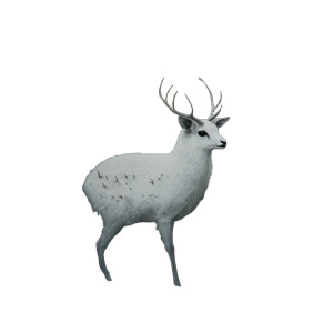 White Owl Painting Vinyl Car Decal Sticker – Waterproof & UV-Resistant 8" White Owl Painting Vinyl Car Decal Sticker – Waterproof & UV-Resistant 8"