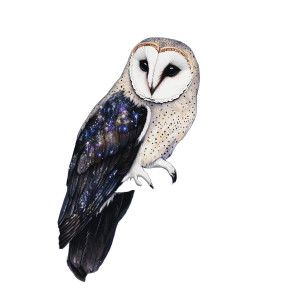 Dark Owl Deity Vinyl Car Decal Sticker – Waterproof & UV-Resistant 8"