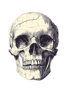 Skull Vector Graphic Vinyl Car Decal Sticker – Waterproof & UV-Resistant 8"