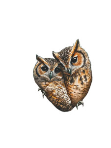 Nestled Owls Vinyl Car Decal Sticker – Waterproof & UV-Resistant 8" Nestled Owls Vinyl Car Decal Sticker – Waterproof & UV-Resistant 8"