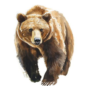Brown Bear Illustration Vinyl Car Decal Sticker – Waterproof & UV-Resistant 8"
