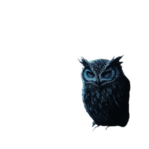 Dark Woods Owl Vinyl Car Decal Sticker – Waterproof & UV-Resistant 8"