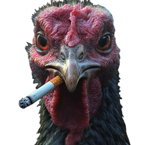 Redneck Turkey Smoking Vinyl Car Decal Sticker – Waterproof & UV-Resistant 8"