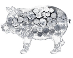 Piggy Bank Xray Vinyl Car Decal Sticker – Waterproof & UV-Resistant 8"