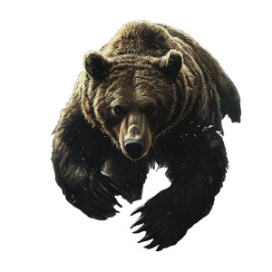 Grizzly Bear Prowling Vinyl Car Decal Sticker – Waterproof & UV-Resistant 8"