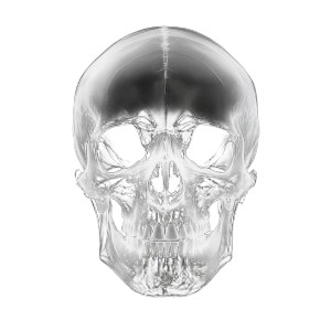Skull X-Ray Vinyl Car Decal Sticker – Waterproof & UV-Resistant 8" Skull X-Ray Vinyl Car Decal Sticker – Waterproof & UV-Resistant 8"