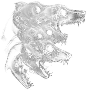 Wolf Skulls X-Ray Vinyl Car Decal Sticker – Waterproof & UV-Resistant 8"