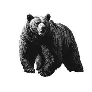 Grizzly Bear Roaring Vinyl Car Decal Sticker – Waterproof & UV-Resistant 8"