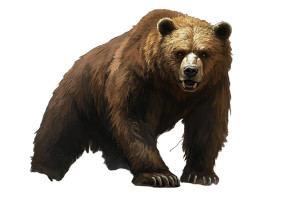Majestic Brown Bear V2 Vinyl Car Decal Sticker – Waterproof & UV-Resistant 8"