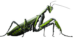 Mechanical Praying Mantis Vinyl Car Decal Sticker – Waterproof & UV-Resistant 8" Mechanical Praying Mantis Vinyl Car Decal Sticker – Waterproof & UV-Resistant 8"