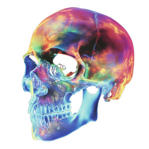 Thermographic Skull Vinyl Car Decal Sticker – Waterproof & UV-Resistant 8" Thermographic Skull Vinyl Car Decal Sticker – Waterproof & UV-Resistant 8"