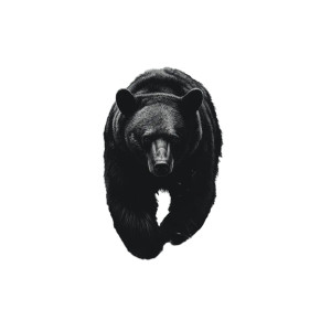 Black Bear Forest Vinyl Car Decal Sticker – Waterproof & UV-Resistant 8" Black Bear Forest Vinyl Car Decal Sticker – Waterproof & UV-Resistant 8"