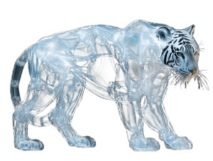 X-Ray Tiger Vinyl Car Decal Sticker – Waterproof & UV-Resistant 8" X-Ray Tiger Vinyl Car Decal Sticker – Waterproof & UV-Resistant 8"