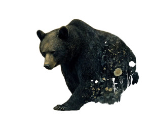 Black Bear V2 Vinyl Car Decal Sticker – Waterproof & UV-Resistant 8"