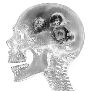 Mechanical Skull X-Ray Vinyl Car Decal Sticker – Waterproof & UV-Resistant 8"