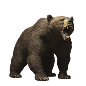 Dire Bear Vinyl Car Decal Sticker – Waterproof & UV-Resistant 8" Dire Bear Vinyl Car Decal Sticker – Waterproof & UV-Resistant 8"