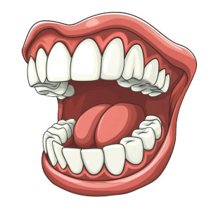 Cartoon Teeth Vector Vinyl Car Decal Sticker – Waterproof & UV-Resistant 8"