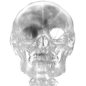 X-Ray Skull Texture Vinyl Car Decal Sticker – Waterproof & UV-Resistant 8"