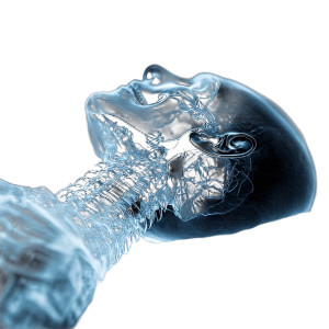 Mysterious Tech Spine Vinyl Car Decal Sticker – Waterproof & UV-Resistant 8"