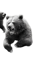 Angry Attacking Bear V2 Vinyl Car Decal Sticker – Waterproof & UV-Resistant 8"