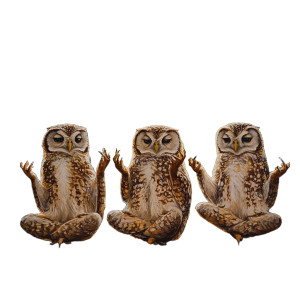 Owls Doing Yoga Vinyl Car Decal Sticker – Waterproof & UV-Resistant 8" Owls Doing Yoga Vinyl Car Decal Sticker – Waterproof & UV-Resistant 8"