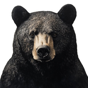 Black Bear V3 Vinyl Car Decal Sticker – Waterproof & UV-Resistant 8"