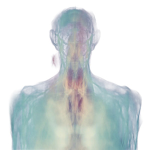 Blurry Infrared Torso Vinyl Car Decal Sticker – Waterproof & UV-Resistant 8" Blurry Infrared Torso Vinyl Car Decal Sticker – Waterproof & UV-Resistant 8"