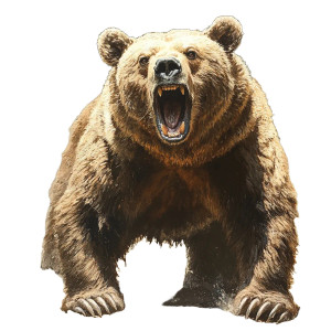 Big Brown Bear V2 Vinyl Car Decal Sticker – Waterproof & UV-Resistant 8"