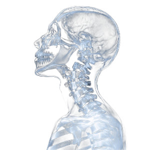 Text Neck X-Ray Vinyl Car Decal Sticker – Waterproof & UV-Resistant 8"
