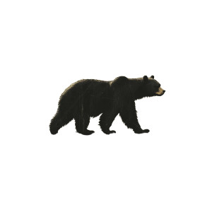 Bear Shadow Vinyl Car Decal Sticker – Waterproof & UV-Resistant 8"