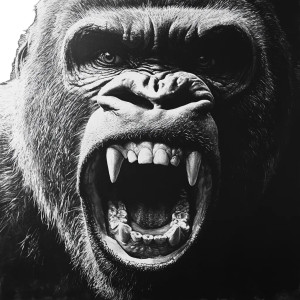 Gorilla Face Vinyl Car Decal Sticker – Waterproof & UV-Resistant 8"