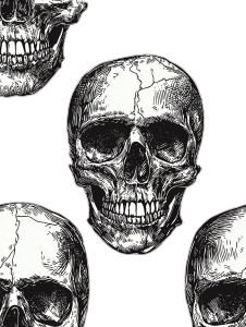 Human Skull Pattern Vinyl Car Decal Sticker – Waterproof & UV-Resistant 8"