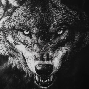 Aggressive Wolf Portrait V8 Vinyl Car Decal Sticker – Waterproof & UV-Resistant 8"