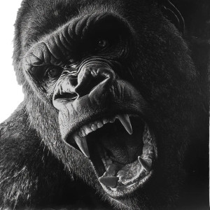 Aggression Gorilla Vinyl Car Decal Sticker – Waterproof & UV-Resistant 8"