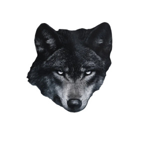 Mystical Wolf Night V2 Vinyl Car Decal Sticker – Waterproof & UV-Resistant 8"