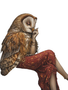 Owl And Goddess Vinyl Car Decal Sticker – Waterproof & UV-Resistant 8"