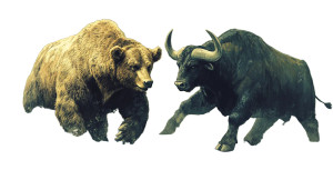 Bear Vs Bull Vinyl Car Decal Sticker – Waterproof & UV-Resistant 8" Bear Vs Bull Vinyl Car Decal Sticker – Waterproof & UV-Resistant 8"