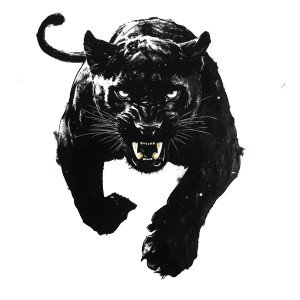 Growling Graffiti Panther Vinyl Car Decal Sticker – Waterproof & UV-Resistant 8" Growling Graffiti Panther Vinyl Car Decal Sticker – Waterproof & UV-Resistant 8"