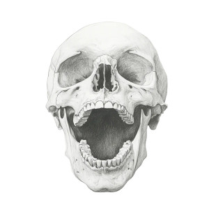 Graphite Skull Yelling Vinyl Car Decal Sticker – Waterproof & UV-Resistant 8"