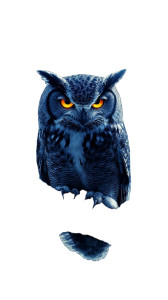 Owl Tattoo Design Vinyl Car Decal Sticker – Waterproof & UV-Resistant 8"