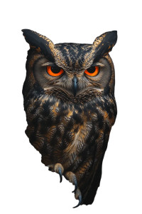 Glowing Owl Vinyl Car Decal Sticker – Waterproof & UV-Resistant 8"