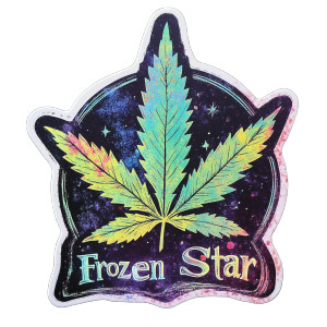 Frozen Star Sticker Vinyl Car Decal Sticker – Waterproof & UV-Resistant 8"