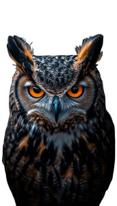 Menacing Owl Portrait Vinyl Car Decal Sticker – Waterproof & UV-Resistant 8" Menacing Owl Portrait Vinyl Car Decal Sticker – Waterproof & UV-Resistant 8"