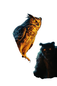 Owl And Bigfoot Vinyl Car Decal Sticker – Waterproof & UV-Resistant 8"