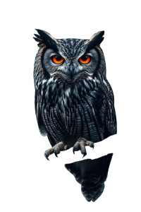 Majestic Owl Vinyl Car Decal Sticker – Waterproof & UV-Resistant 8" Majestic Owl Vinyl Car Decal Sticker – Waterproof & UV-Resistant 8"