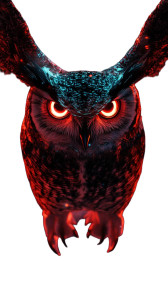 Cyber Owl Guardian Vinyl Car Decal Sticker – Waterproof & UV-Resistant 8" Cyber Owl Guardian Vinyl Car Decal Sticker – Waterproof & UV-Resistant 8"