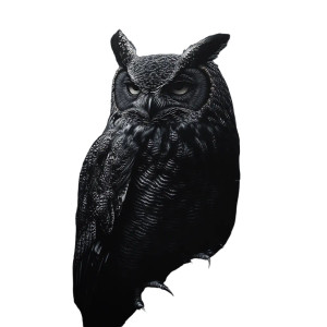 Gothic Realistic Owl Vinyl Car Decal Sticker – Waterproof & UV-Resistant 8" Gothic Realistic Owl Vinyl Car Decal Sticker – Waterproof & UV-Resistant 8"