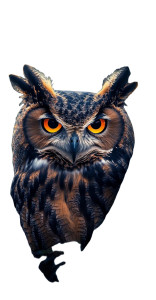 Huge Owl Watching Vinyl Car Decal Sticker – Waterproof & UV-Resistant 8"