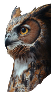 Owl Tattoo Design V4 Vinyl Car Decal Sticker – Waterproof & UV-Resistant 8" Owl Tattoo Design V4 Vinyl Car Decal Sticker – Waterproof & UV-Resistant 8"