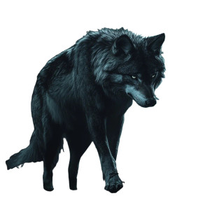Proud Wolf V2 Vinyl Car Decal Sticker – Waterproof & UV-Resistant 8" Proud Wolf V2 Vinyl Car Decal Sticker – Waterproof & UV-Resistant 8"